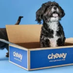 Chewy